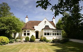 Daisybank Cottage Boutique Bed And Breakfast